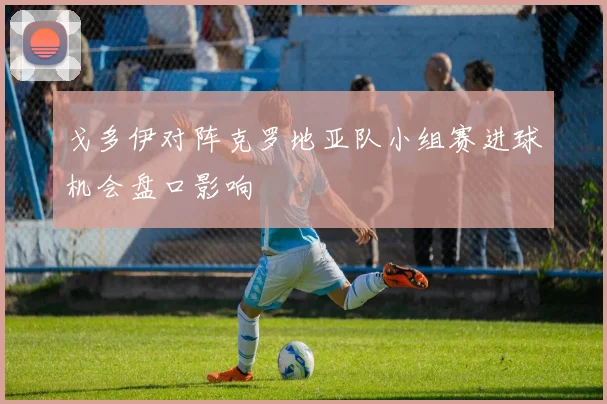 戈多伊对阵克罗地亚队小组赛进球机会盘口影响