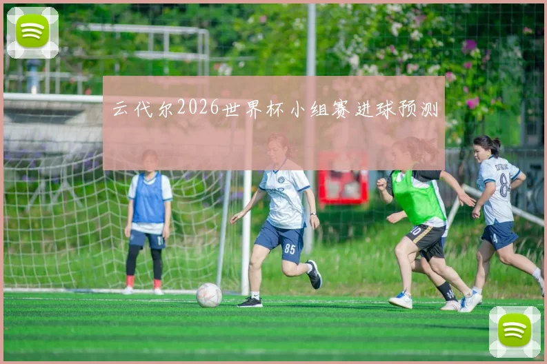 云代尔2026世界杯小组赛进球预测