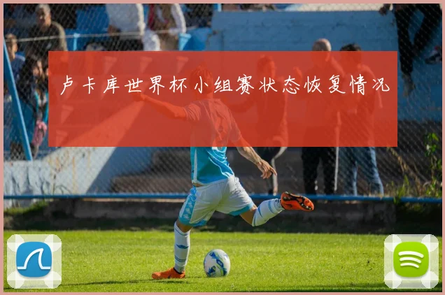 卢卡库世界杯小组赛状态恢复情况