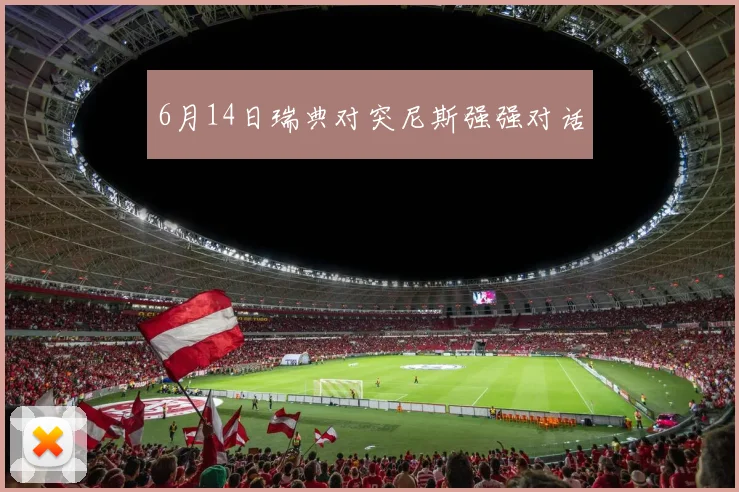6月14日瑞典对突尼斯强强对话